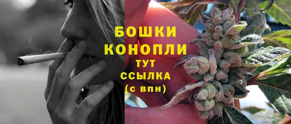 2c-b Богородицк