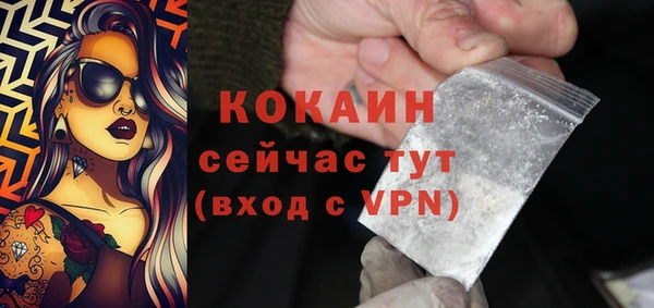 2c-b Богородицк