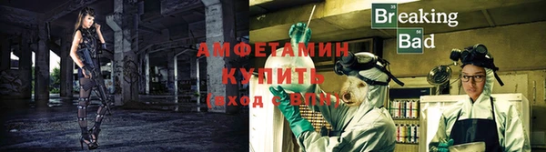 амф Богданович