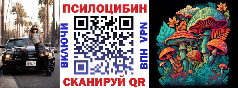 Купить где  Истра  Псилоцибиновые грибы мицелий 